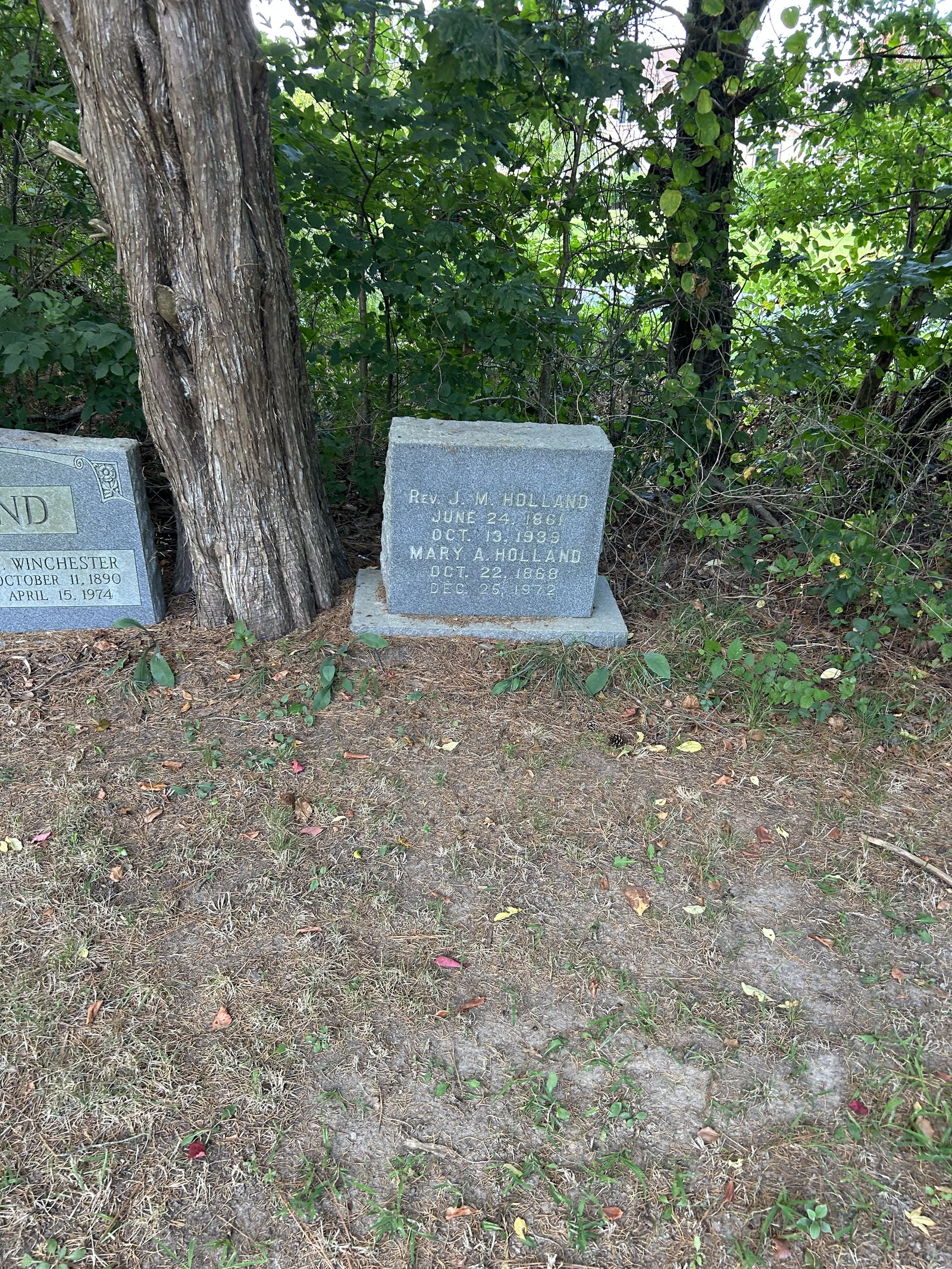 Two weathered gravestones in a wooded family cemetery