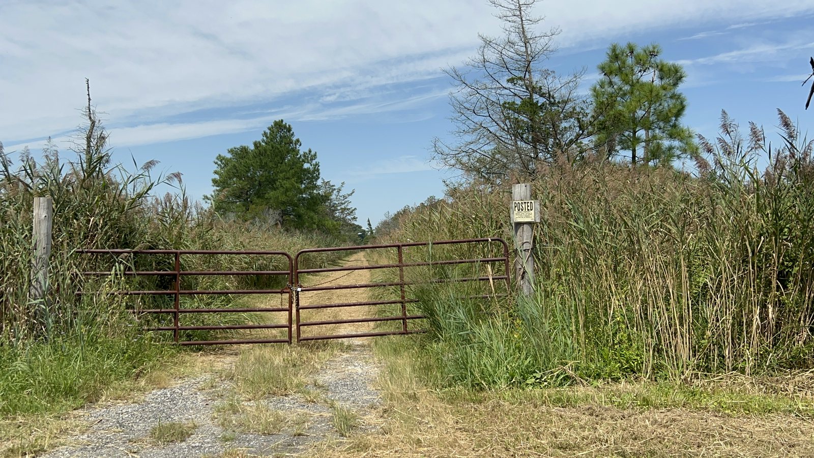 Farm gate leading onto the Oysterrocks land